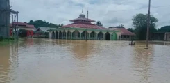 Banjir Rendam 15 Desa di Kabupaten Halmahera Selatan, Satu Balita Meninggal Dunia